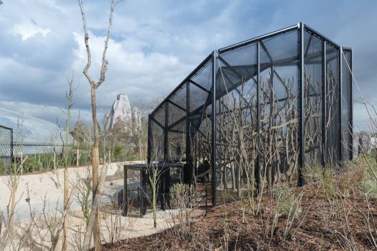 The small aviaries are made from black steel tubes overlaid with transparent wire mesh. Tschumi’s 300-foot-long greenhouse (at left) contains plants and animals native to 

the rainforest. 