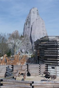 The large-scale animal enclosures, such as those for the zoo’s 16 giraffes, feature a corrugated metal envelope covered in a loose latticework of wooden slats. Beyond, the museum’s iconic Grand Rocher is one of the fake rocks that were part of the original 1934 design for the zoo.