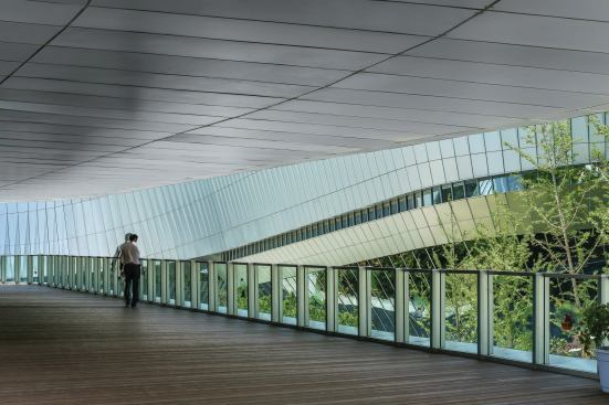 The inset walkways’ metal ceiling and wood floor frame views of the surroundings. 