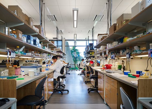 Nick Merrick © Hedrich Blessing Photographers