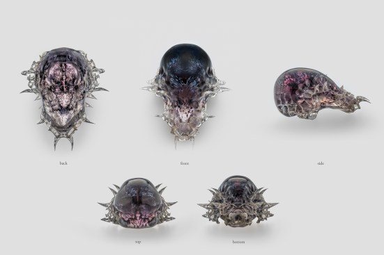 Compilation of views, Mask 3, Vespers collection, Present series. Designed by Neri Oxman and members of the Mediated Matter Group and 3D printed by Stratasys.