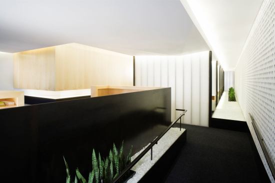 Photograph Â© Mitch Tobias (415) 647-0242 www.mitchtobias.comNo Property Release.Washington Square Park Dental in San Francisco, California. David Montalba, architect. (Montalba Architects)