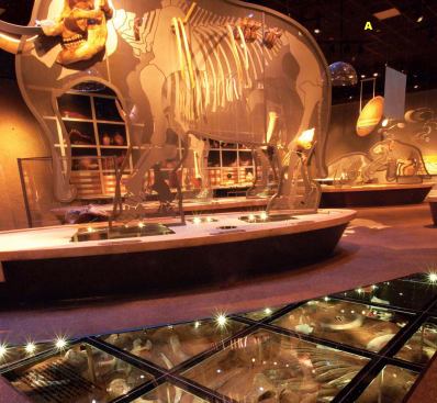 A  Acoustical ceiling panels Celotex 
www.bpb-na.com    Recently purchased by CertainTeed  Mineral ceiling system  Several product lines include varied colors and patterns, as well as impact-and humidity-resistant options  Trim, reveal, and narrow-reveal edging options available, depending on the line  Many lines feature standard 24 inch by 48 inch panels, though 24 inch squares are sometimes available