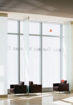 A-Insulated fritted glazing  Viracon Insulated glass units are constructed from two or more panes of glass separated by a dessicantfilled spacer and sealed with organic sealant  • Multiple glass options available, including different glass for each of the plies  • Custom frit pattern and coloration allows for light transmittance while still maintaining privacy for interior spaces  B-Divina side chair  KnollStudio Chrome-plated steel frame  • Solid hardwood frame  • Standard and softer dual-density foam options available  • Can be upholstered in KnollTextiles or Spinneybeck Leather  • Greenguard IAQ certified  • Standard and petite lounge chair (30½ and 37 inches wide), settee (66 inches wide), sofa (91 inches wide), and ottoman available  • Petite lounge chair measures 31¼ inches deep, while other seating is 35½ inches deep  • Optional side cushion available  • Designed by Piero Lissoni
