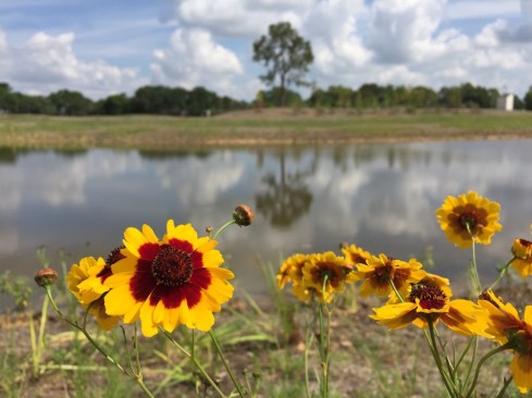 Greater Houston’s 200 golf courses are easier and cheaper to convert to flood-control facilities than other options. Communities from other regions of the country, including Michigan and Virginia, have contacted Clear Lake City Water Authority to learn from this model. 