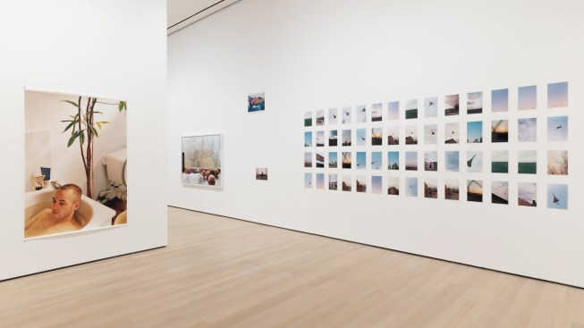 Installation view of Wolfgang Tillmans: To look without fear, on view at The Museum of Modern Art, New York from September 12, 2022 – January 1, 2023.
