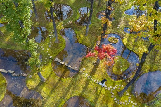 Junya Ishigami's Botanical Garden Art Biotop
