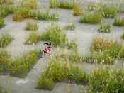 A temporary garden in Kortrijk, Belgium.