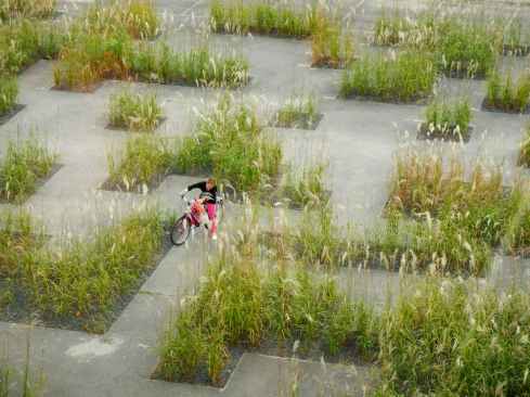 A temporary garden in Kortrijk, Belgium.