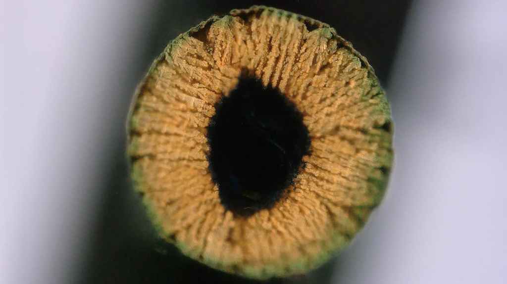 EPFL researchers have pioneered a 3D printing method that grows metals and ceramics inside a water-based gel, resulting in exceptionally dense, yet intricate constructions for next-generation energy, biomedical, and sensing technologies. Shown: A cross-section of a copper-infused hydrogel. Photo courtesy: ALCHEMY EPFL CC BY SA.